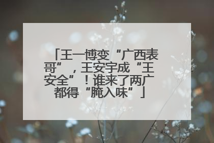 王一博变“广西表哥”，王安宇成“王安全”！谁来了两广都得“腌入味”