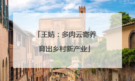 王婧：多肉云寄养 育出乡村新产业