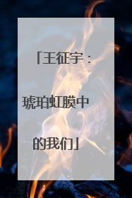 王征宇：琥珀虹膜中的我们