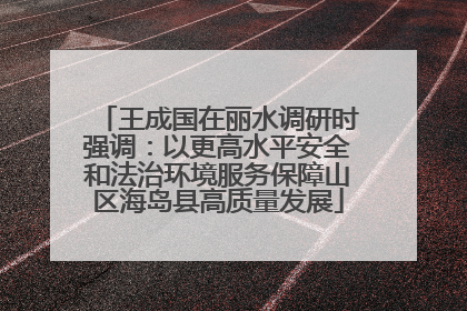 王成国在丽水调研时强调：以更高水平安全和法治环境服务保障山区海岛县高质量发展