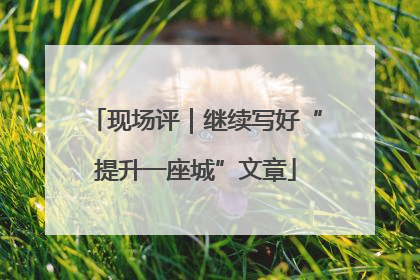 现场评｜继续写好“提升一座城”文章