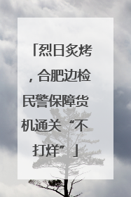 烈日炙烤，合肥边检民警保障货机通关“不打烊”