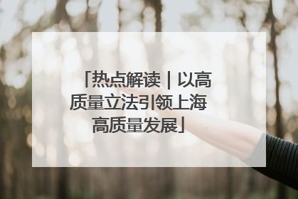 热点解读｜以高质量立法引领上海高质量发展