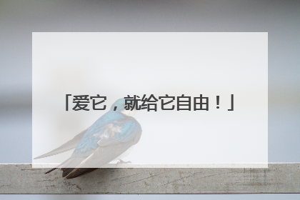 爱它，就给它自由！