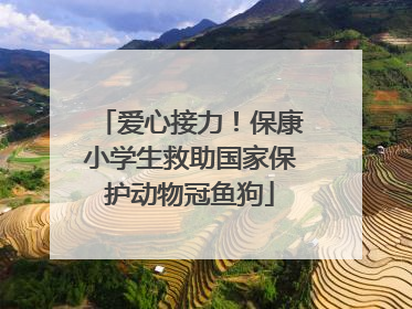 爱心接力！保康小学生救助国家保护动物冠鱼狗