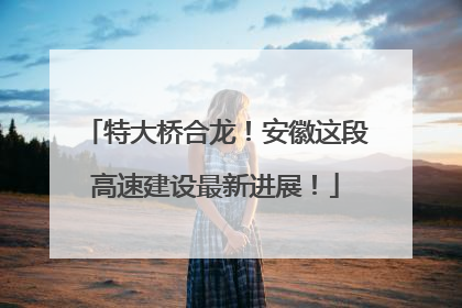 特大桥合龙！安徽这段高速建设最新进展！