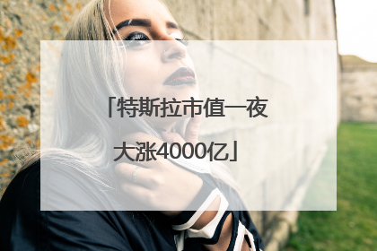 特斯拉市值一夜大涨4000亿