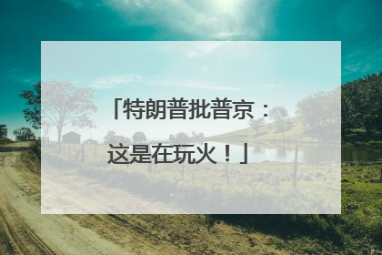 特朗普批普京：这是在玩火！