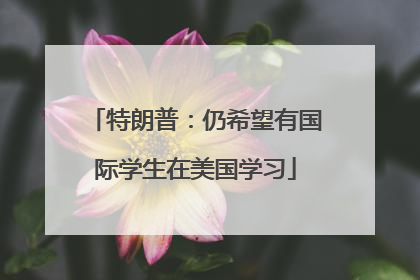 特朗普：仍希望有国际学生在美国学习