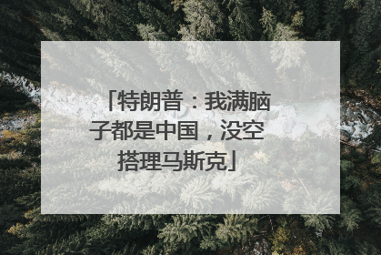 特朗普：我满脑子都是中国，没空搭理马斯克