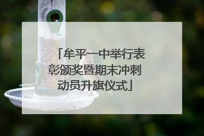 牟平一中举行表彰颁奖暨期末冲刺动员升旗仪式