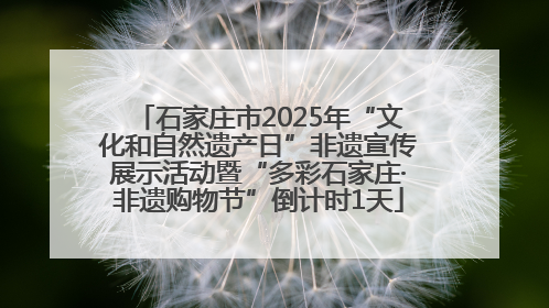 石家庄市2025年“文化和自然遗产日”非遗宣传展示活动暨“多彩石家庄·非遗购物节”倒计时1天