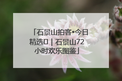 石景山拍客•今日精选⑲｜石景山72小时欢乐图鉴