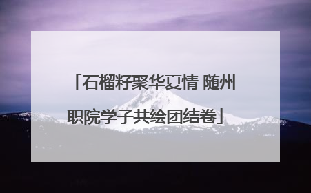 石榴籽聚华夏情 随州职院学子共绘团结卷