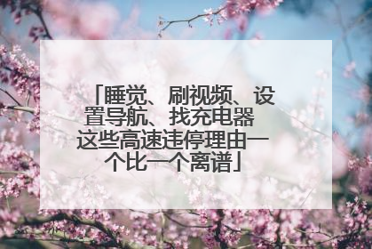 睡觉、刷视频、设置导航、找充电器 这些高速违停理由一个比一个离谱