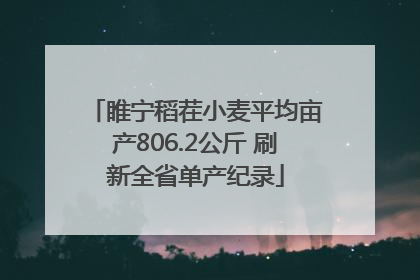 睢宁稻茬小麦平均亩产806.2公斤 刷新全省单产纪录