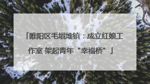 睢阳区毛堌堆镇：成立红娘工作室 架起青年“幸福桥”