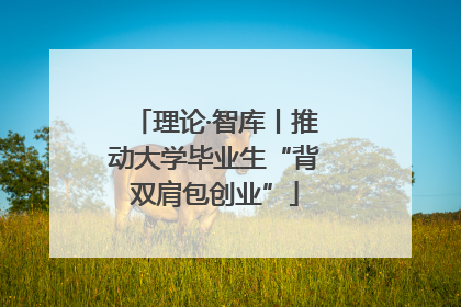 理论·智库丨推动大学毕业生“背双肩包创业”