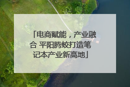 电商赋能，产业融合 平阳腾蛟打造笔记本产业新高地