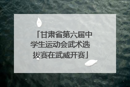甘肃省第六届中学生运动会武术选拔赛在武威开赛