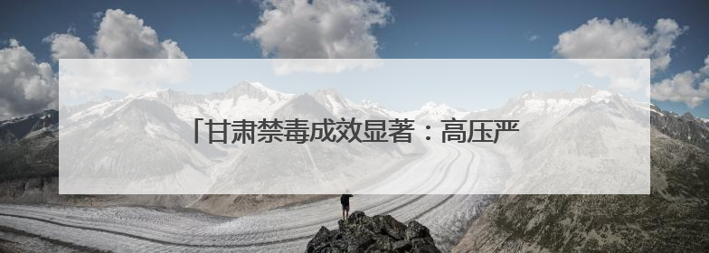 甘肃禁毒成效显著：高压严打与全民防控构筑安全防线