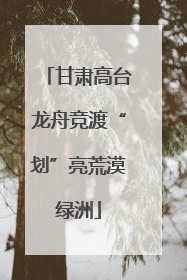 甘肃高台龙舟竞渡“划”亮荒漠绿洲