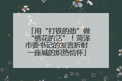 用“打铁的劲”做“绣花的活”！菏泽市委书记的发言折射一座城的炽热情怀