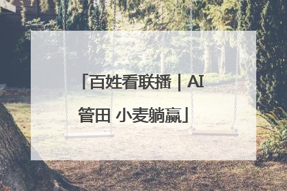 百姓看联播｜AI管田 小麦躺赢