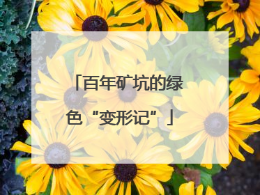 百年矿坑的绿色“变形记”