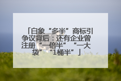 白象“多半”商标引争议背后：还有企业曾注册“一倍半”“一大袋”“1桶半”