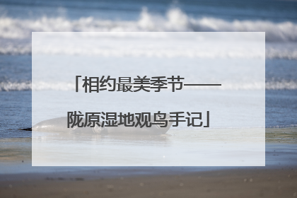 相约最美季节——陇原湿地观鸟手记