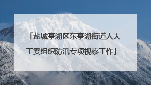 盐城亭湖区东亭湖街道人大工委组织防汛专项视察工作
