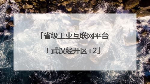 省级工业互联网平台！武汉经开区+2