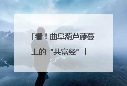 看！曲阜葫芦藤蔓上的“共富经”