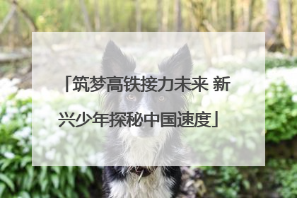 筑梦高铁接力未来 新兴少年探秘中国速度