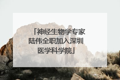 神经生物学专家陆伟全职加入深圳医学科学院