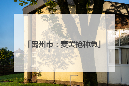 禹州市：麦罢抢种急