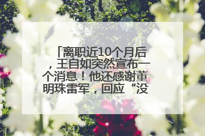 离职近10个月后，王自如突然宣布一个消息！他还感谢董明珠雷军，回应“没看过格力工资条”：真的不那么重要！