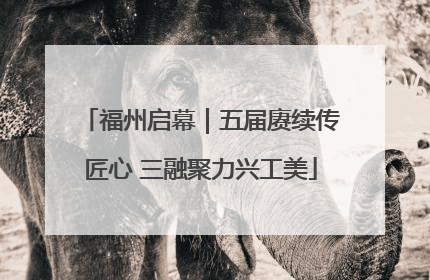 福州启幕｜五届赓续传匠心 三融聚力兴工美