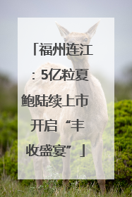 福州连江：5亿粒夏鲍陆续上市 开启“丰收盛宴”