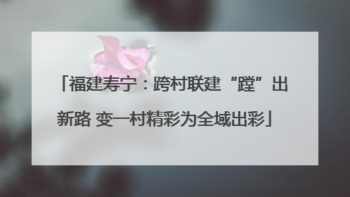 福建寿宁：跨村联建“蹚”出新路 变一村精彩为全域出彩