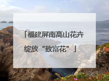 福建屏南高山花卉绽放“致富花”