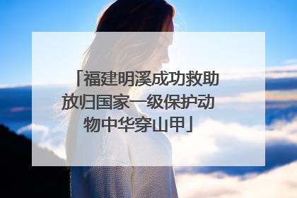 福建明溪成功救助放归国家一级保护动物中华穿山甲
