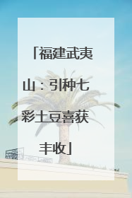 福建武夷山：引种七彩土豆喜获丰收