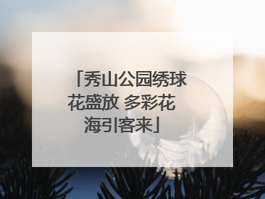 秀山公园绣球花盛放 多彩花海引客来