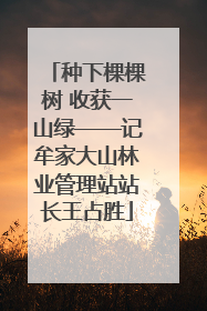 种下棵棵树 收获一山绿——记牟家大山林业管理站站长王占胜
