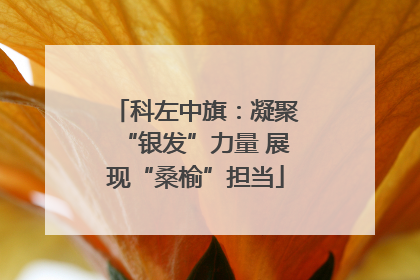科左中旗：凝聚“银发”力量 展现“桑榆”担当
