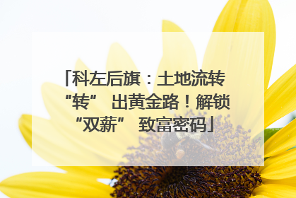 科左后旗：土地流转 “转” 出黄金路！解锁 “双薪” 致富密码