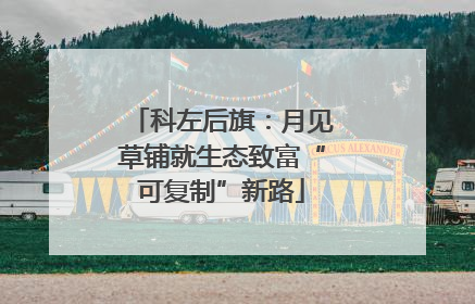科左后旗：月见草铺就生态致富“可复制”新路