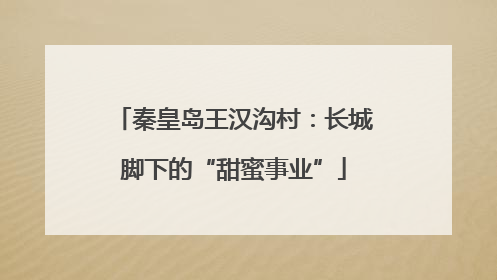 秦皇岛王汉沟村：长城脚下的“甜蜜事业”